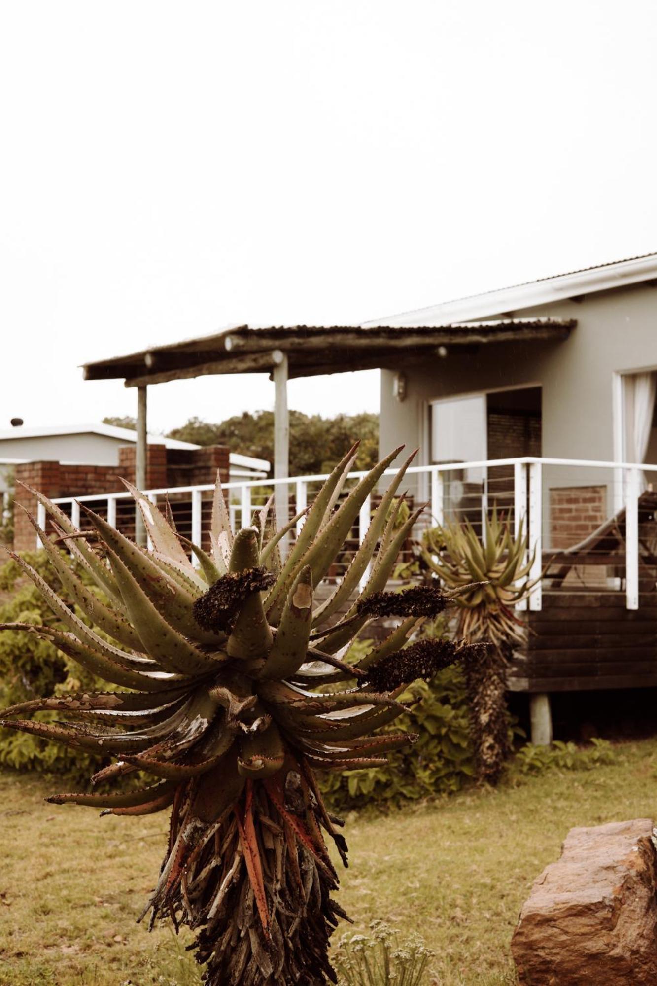 Stoneyvale Cottages Grahamstown Exterior foto